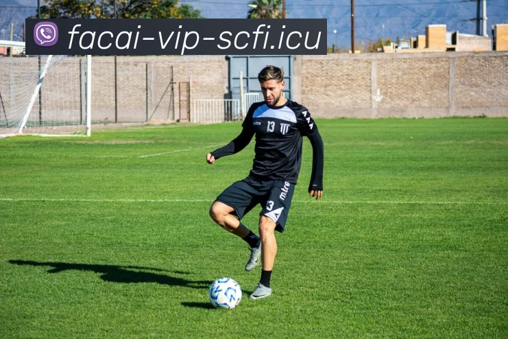 爱游戏体育注册品牌故事